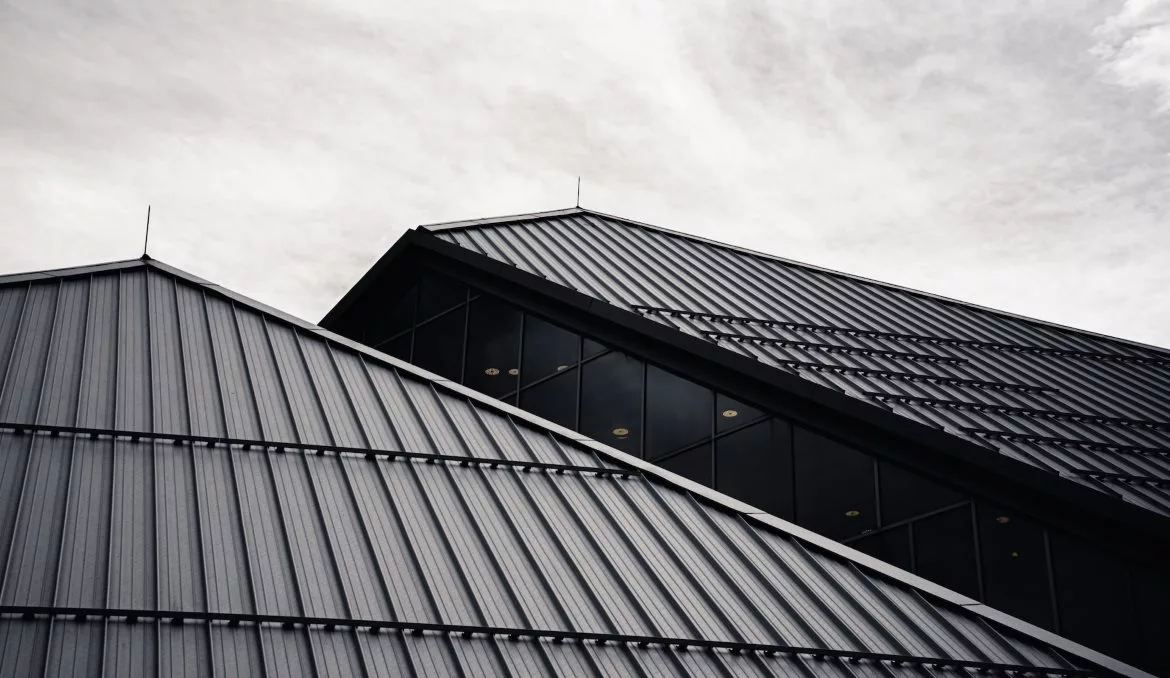 ryunosuke-kikuno-Mu9uo42SXEY-unsplash (002).jpg